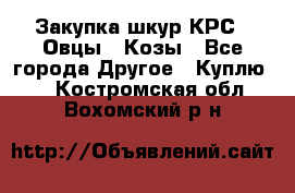 Закупка шкур КРС , Овцы , Козы - Все города Другое » Куплю   . Костромская обл.,Вохомский р-н